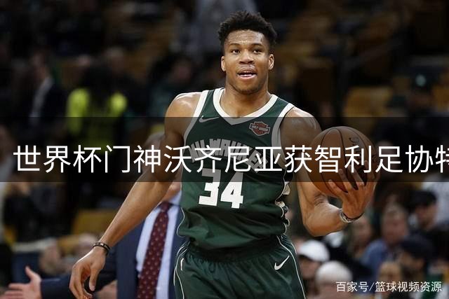 世界杯门神沃齐尼亚获智利足协特批 球衣将印传奇绰号