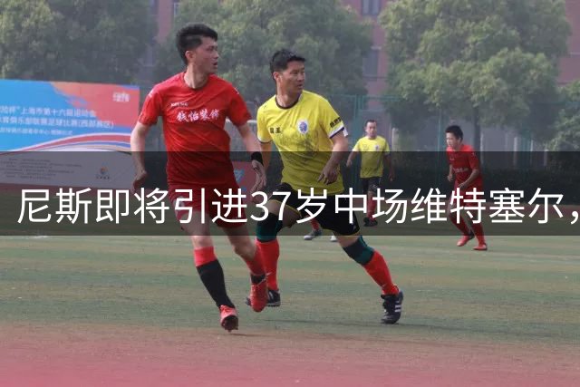 尼斯即将引进37岁中场维特塞尔，合约为期一年附加续约条款